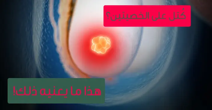 أسباب ظهور الكتل على الخصيتين: دليل شامل للأسباب والعلاجات