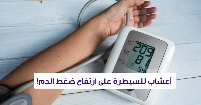اكتشف قوة الطبيعة: أعشاب فعالة للسيطرة على ارتفاع ضغط الدم بشكل طبيعي