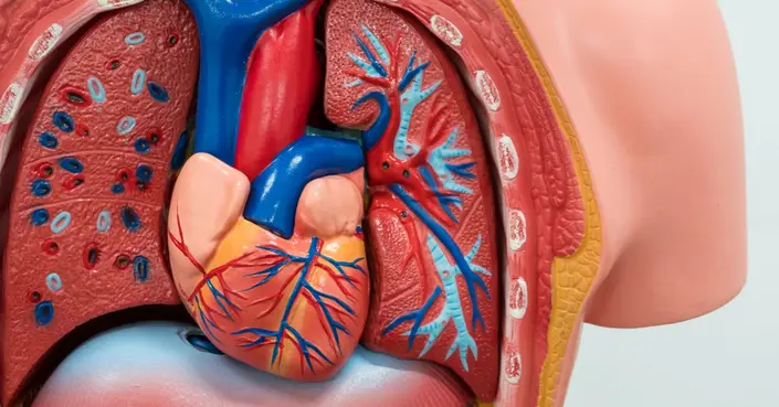 ضعف عضلة القلب: دليل شامل للأعراض، الأسباب، وخيارات العلاج المتقدمة