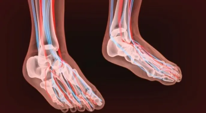 التهاب الأعصاب الطرفية: فهم شامل لأعراضه وأسبابه وعلاجه