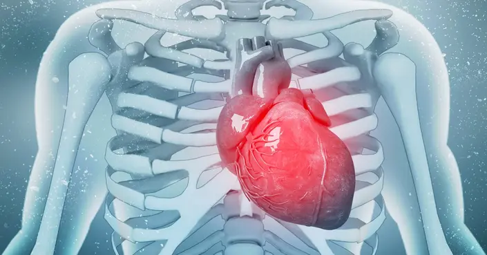 علاج ضعف عضلة القلب: خيارات طبية ونمط حياة لقلب أقوى