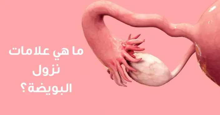 اكتشفي علامات نزول البويضة: دليلك الشامل لتحديد أيام الخصوبة