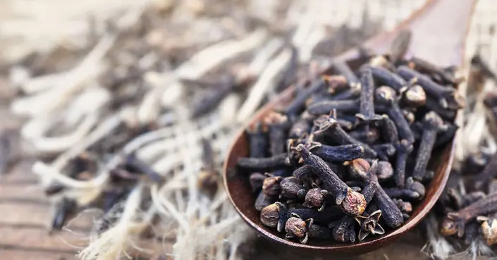 فوائد القرنفل للرجال: تعزيز القوة الجنسية ومحاذير يجب أن تعرفها