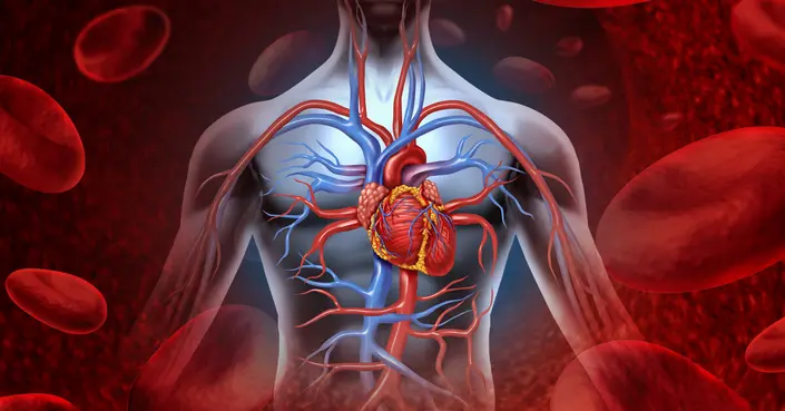 هبوط الدورة الدموية: الأعراض، الأسباب، وطرق الوقاية لتعزيز صحتك