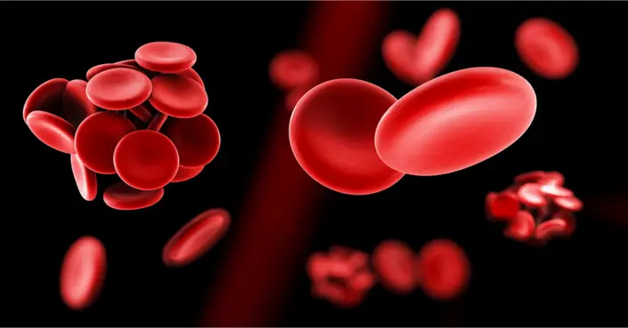 عوامل تجلط الدم: دليل شامل لفهم كيف يتوقف النزيف طبيعيًا