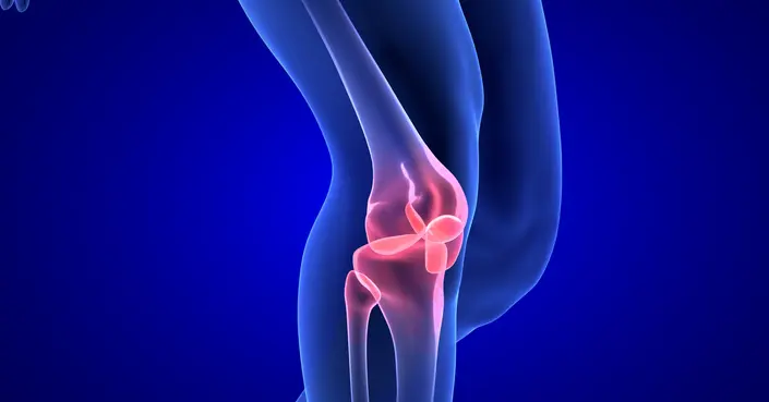 غضروف الركبة: فهم أسبابه، أعراضه، وطرق علاجه الفعّالة