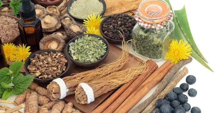 هل الأعشاب تعالج التهاب البربخ؟ دليل شامل للفعالية والنصائح