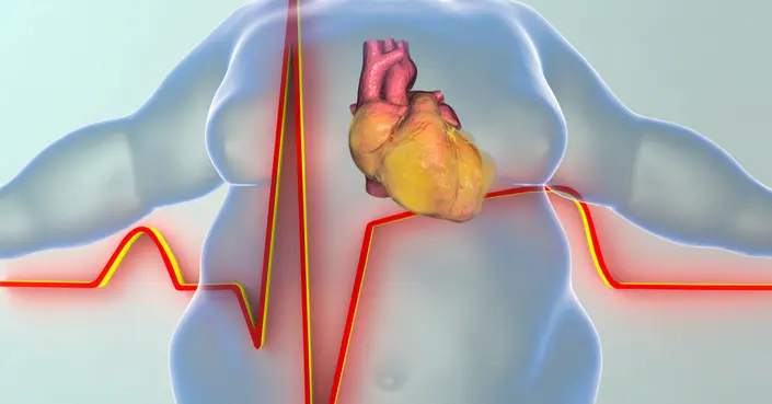 السمنة وأمراض القلب: دليل شامل للمخاطر، الوقاية والعلاج