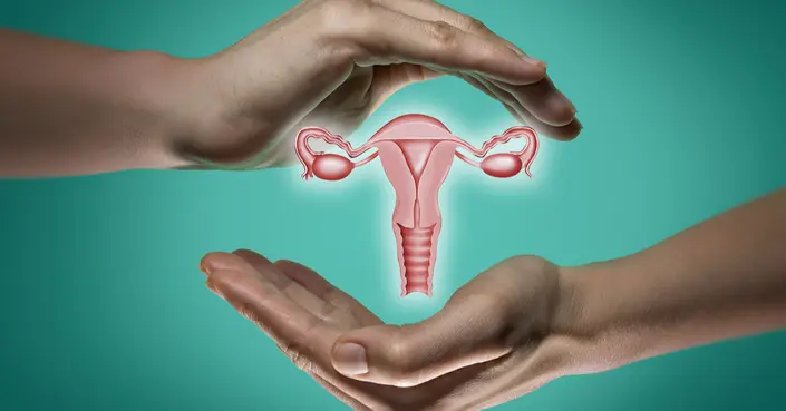 أنواع الرحم: دليل شامل لفهم الاختلافات وتأثيرها على الخصوبة والحمل