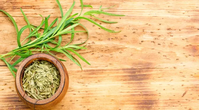 علاج الملاريا بالأعشاب: دليل شامل لأبرز الطرق الطبيعية والفعالة