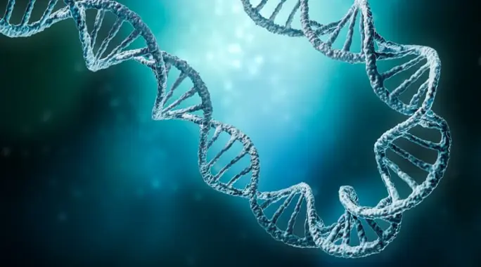 متلازمة ماير روكيتانسكي (MRKH): دليل شامل لفهم الحالة وخيارات العلاج