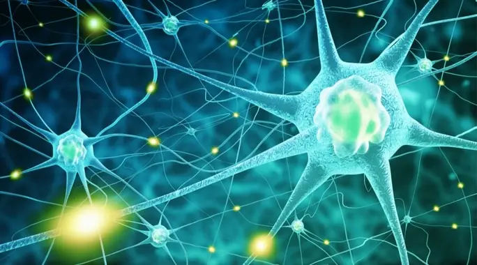 دليلك الشامل لـ طرق الوقاية من أمراض الجهاز العصبي والحفاظ على صحة دماغك