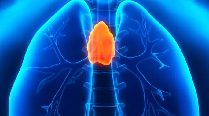 أضرار استئصال الغدة الزعترية: دليل شامل للمرضى