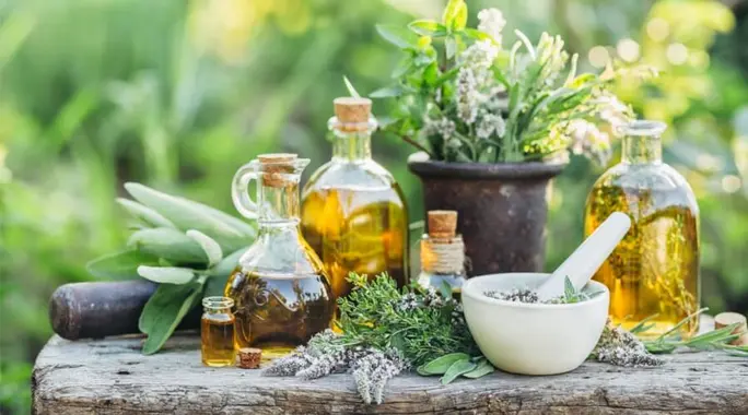 علاج نزيف البواسير بالأعشاب: حلول طبيعية فعّالة لتهدئة الأعراض