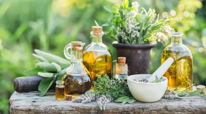 حقيقة علاج البروسيلا بالأعشاب: دليل شامل للتعامل مع الحمى المالطية