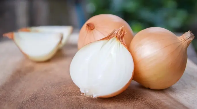 البصل والكلى: دليلك الشامل لفوائد البصل الصحية للكلى