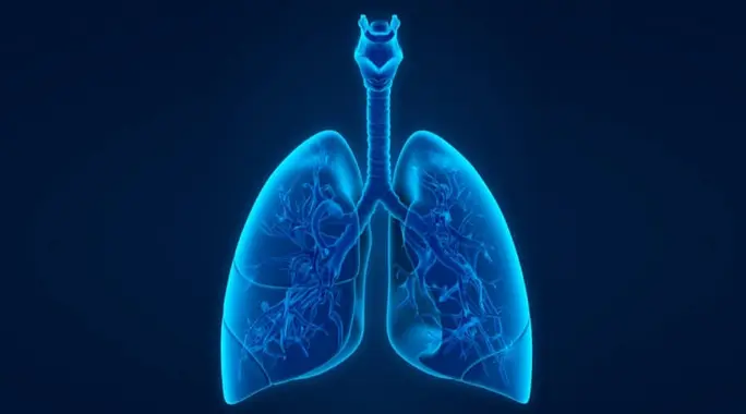نقص CO2 في الدم: دليل شامل للأسباب والأعراض والعلاج الفعال