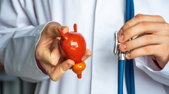 التهاب المسالك البولية: دليل شامل لـ علاج بكتيريا البول والوقاية منها