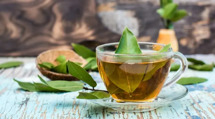 شاي ورق الغار: سر الهضم الصحي، تنظيم سكر الدم، والمزيد من الفوائد المذهلة