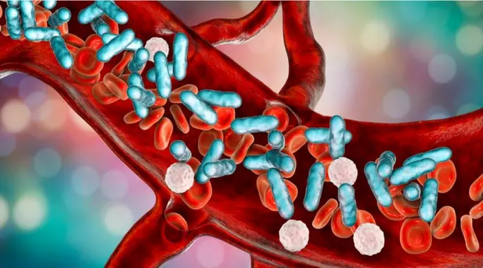 مدة علاج بكتيريا الدم: دليل شامل لفهم التعافي والعلاج الفعال
