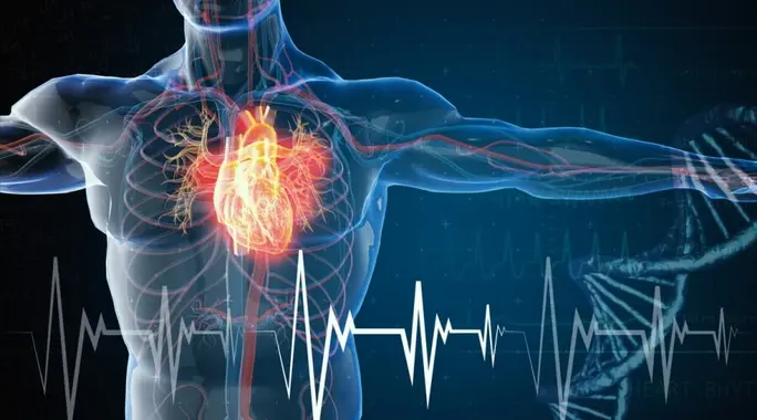 هبوط القلب: دليلك الشامل لفهم الأعراض، الأسباب، والعلاج الفعال