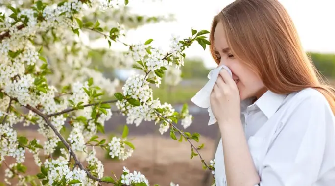 حساسية الأنف: هل هي معدية حقًا؟ اكتشف الحقيقة والأسباب وطرق الوقاية الفعالة