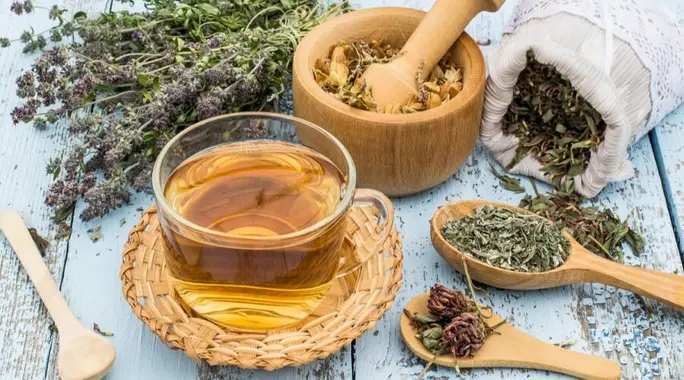 اكتشف أفضل أعشاب للكحة والصدر: دليلك الشامل للعلاج الطبيعي والمنزلي