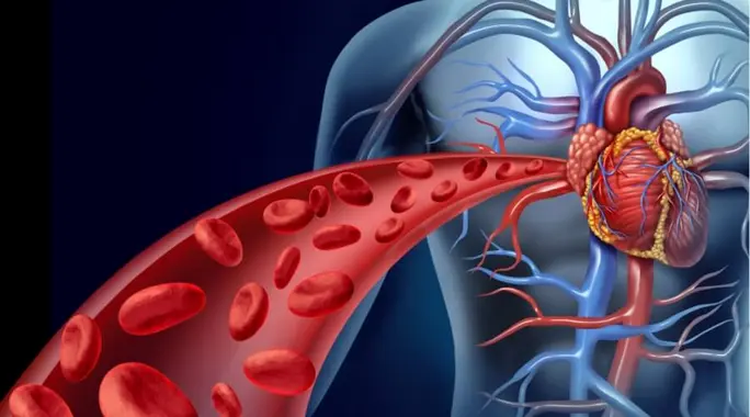 أهم مشاكل الدورة الدموية: الأسباب، الأعراض، والوقاية والعلاج