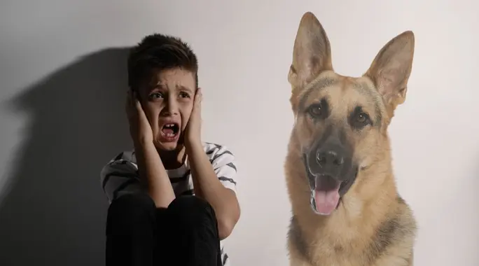 فوبيا الكلاب: دليلك الشامل لتجاوز الخوف والعيش بحرية