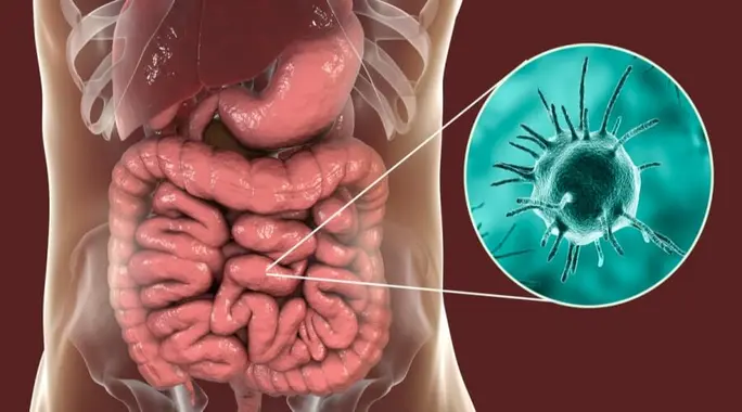 الأميبا: هل هي مرض خطير حقًا؟ دليل شامل للوقاية والعلاج