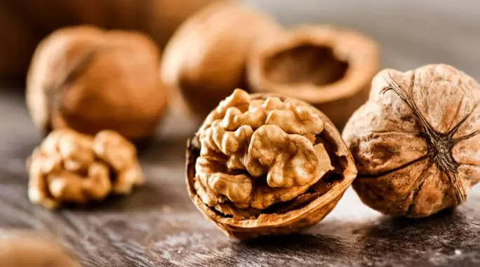 هل عين الجمل يرفع السكر؟ الحقيقة الكاملة وتأثيره على مرضى السكري