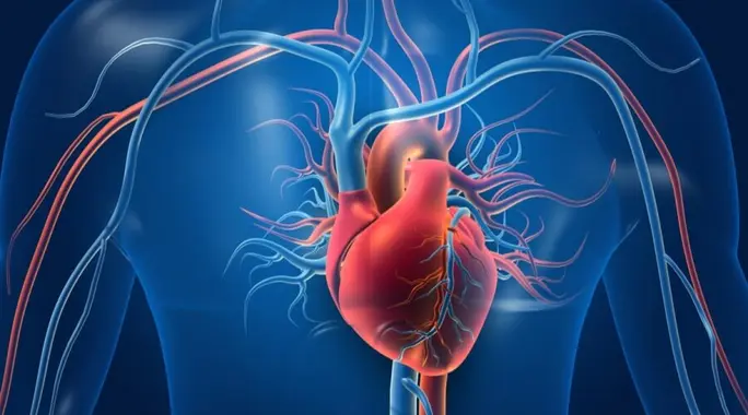 هبوط الدورة الدموية: دليلك الشامل للوقاية والعلاج الفعال