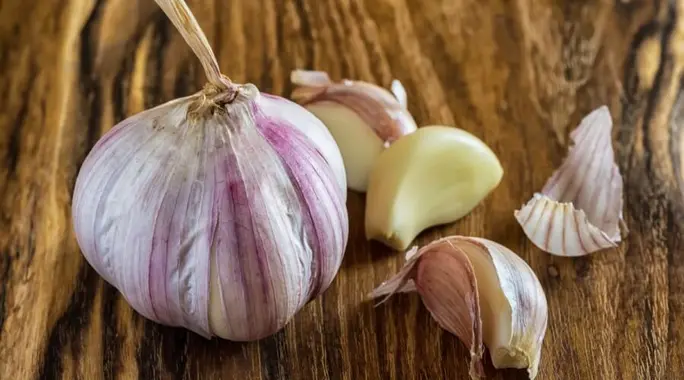 علاج الهربس بالثوم: دليل شامل للفوائد، الاستخدامات، والتحذيرات