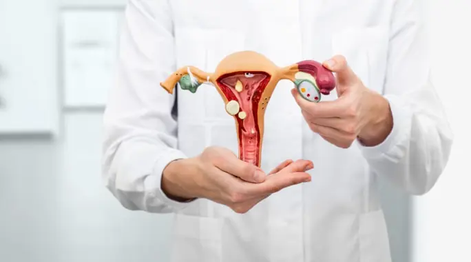 لحمية عنق الرحم: دليلك الشامل للأعراض، الأسباب، والعلاج