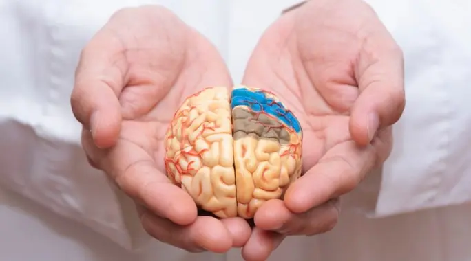 أنواع الجلطات الدماغية: دليل شامل لفهم المخاطر والعلاج الفوري
