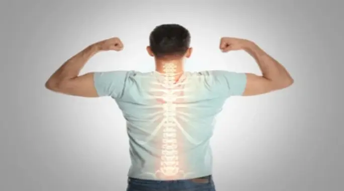 العمود الفقري والأعصاب: دليل شامل لأهميتهما ووظائفهما وصحتهما