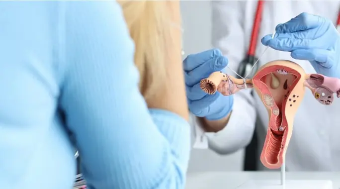هل تنزل الدورة مع انسداد قناة فالوب؟ دليل شامل لصحتك الإنجابية