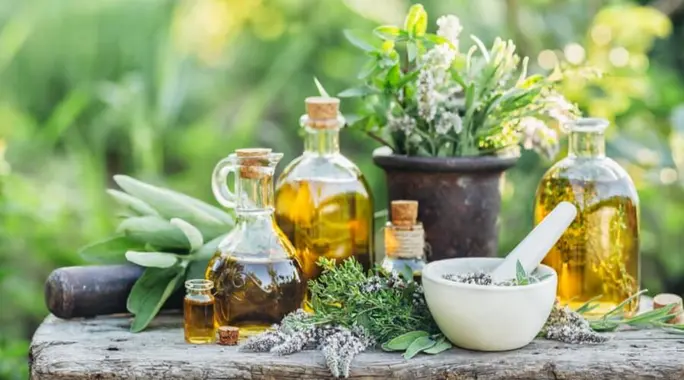 Natural Blood Flow Boosters: Herbal Remedies for Poor Circulation in Extremities