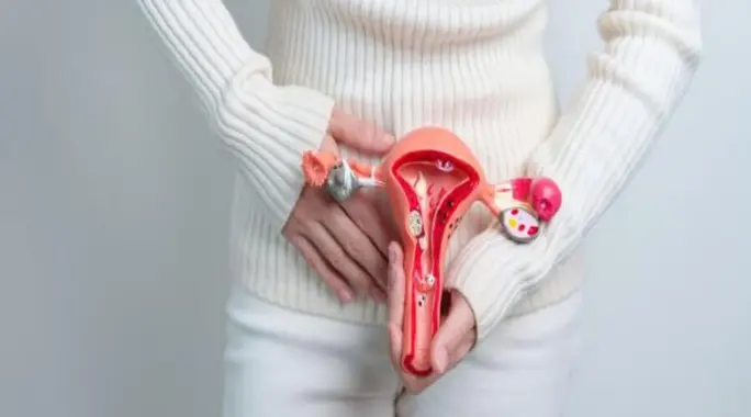 الحياة بعد استئصال المبايض: دليل شامل للتعافي، الإنجاب، وسن اليأس