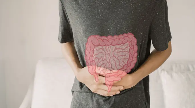 Your Gut, Your Health: Why a Healthy Diet is Key to a Thriving Microbiome