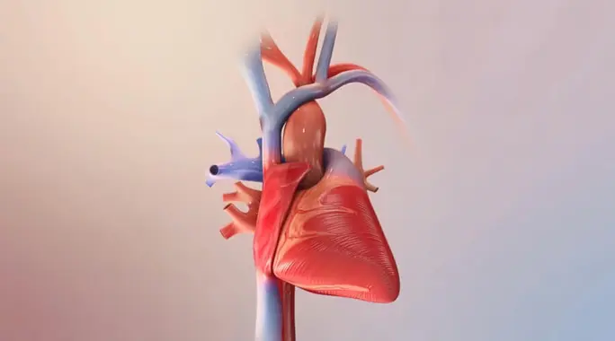 ضعف عضلة القلب: هل الشفاء ممكن؟ وما هي أحدث العلاجات؟