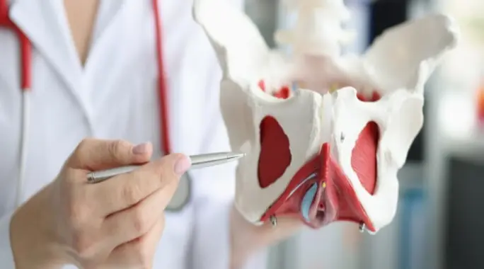 هل التصاق الرحم يمنع الحمل؟ دليل شامل لفرص الإنجاب والعلاج