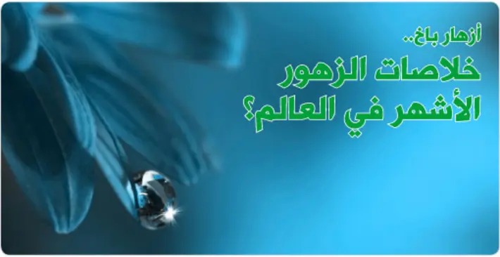 أزهار باخ (Bach Flowers): كشف أسرار الخلاصة المثلية الأكثر شهرة في العالم