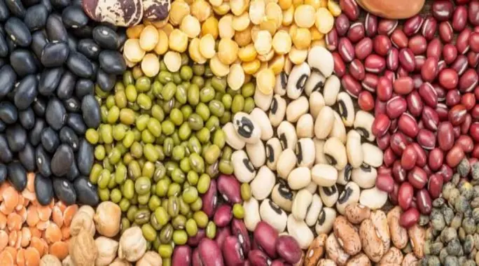 البقوليات: اكتشف لماذا تعتبر غذاء الطبيعة المثالي لصحة أفضل!