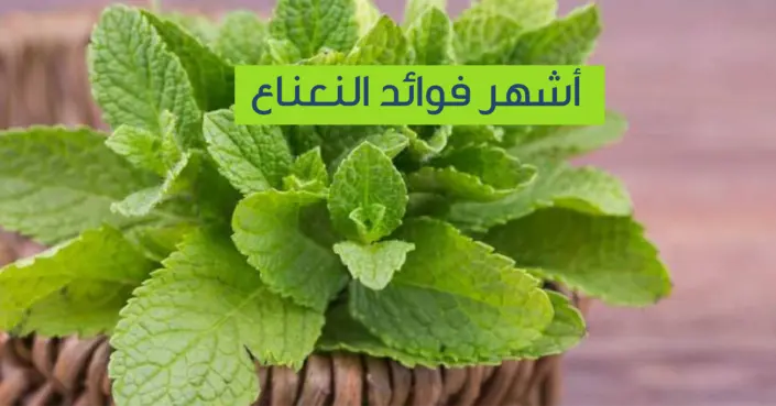 اكتشف القوة العلاجية: أشهر فوائد النعناع المذهلة لصحتك وجمالك