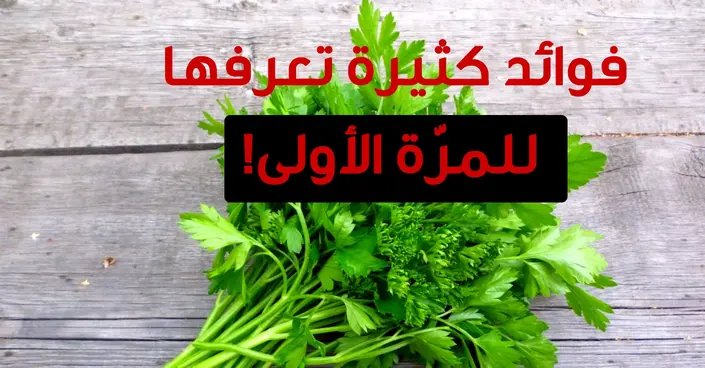 اكتشف القوة الخضراء: فوائد البقدونس الصحية المدهشة لصحتك