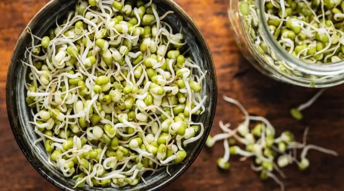 دليلك الشامل لـ تناول براعم البذور والتنبيت بأمان: تجنب المخاطر الصحية