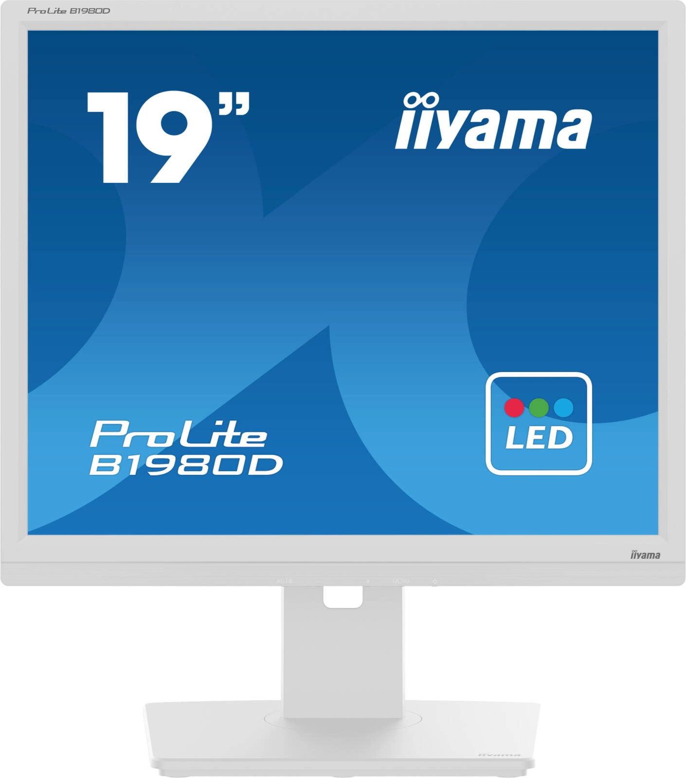 iiyama ProLite B1980D-W5 Monitor Review: A Budget-Friendly Workhorse?