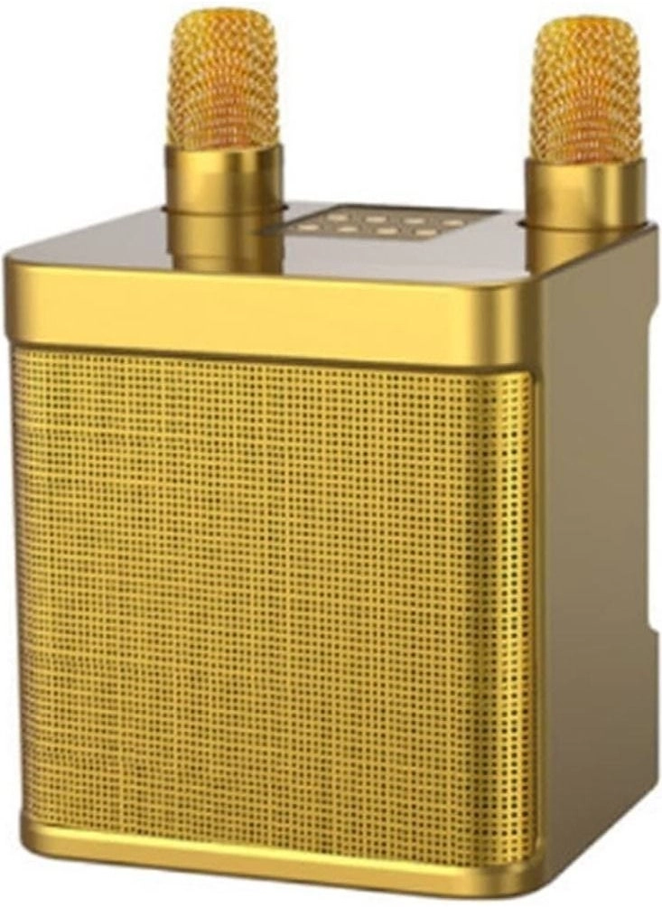 Portable Bluetooth Karaoke Speaker YS-203 &#8211; Gold: In-Depth Review