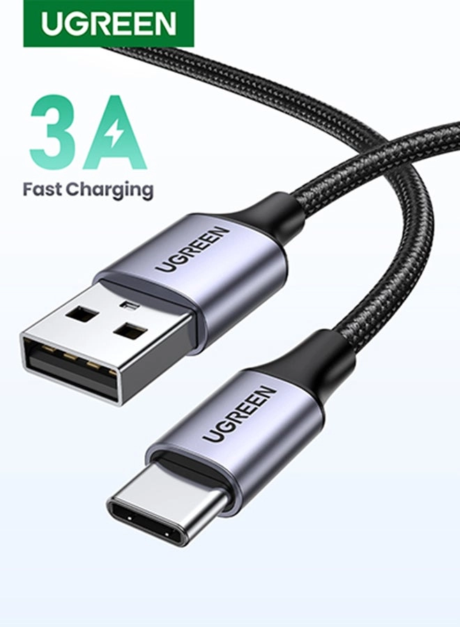 UGREEN 60128 Type C Cable 2M Review: A Deep Dive